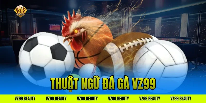 thuật ngữ đá gà vz99